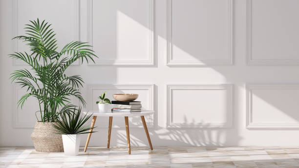 variety of green tropical succulent house plants and trees in luxury classic white wall room with sunlight from window - side table imagens e fotografias de stock