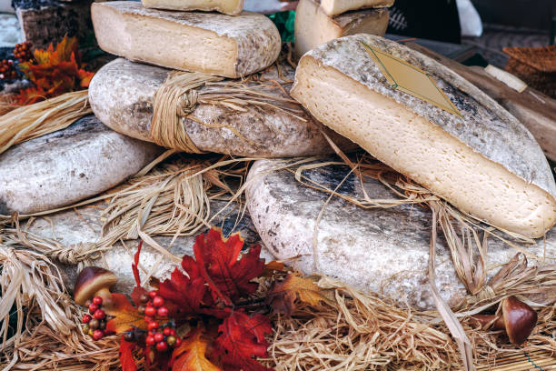 Rounds and pieces of artisan cheese on the stall at seasonal food market in Alba, Piedmont, Northern Italy.