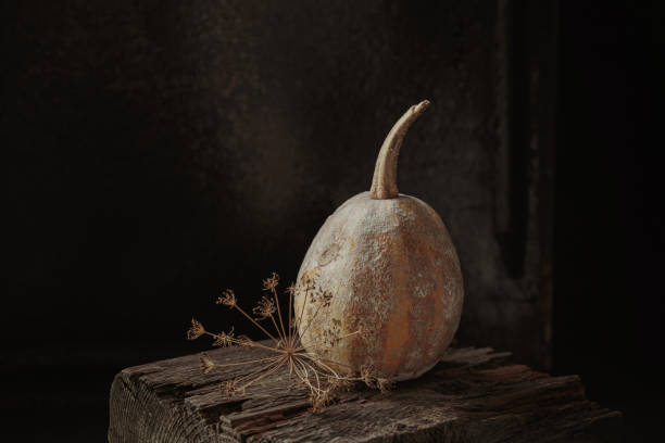 istock Autumnal composition for Thanksgiving Day 1426468976