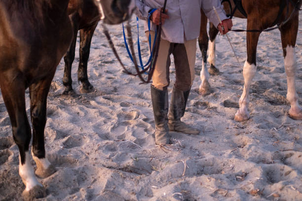 Man rides a gray horse on the beach .