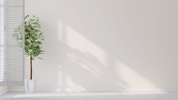 istock Beautiful green tropical fiddle leaf fig tree in minimal design pot by window blinds in white wall room with sunlight 1426469884