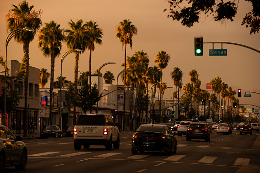 Van Nuys, California, USA - September 11, 2022: Sunset illuminates palm trees and traffic flows down Van Nuys boulevard in the heart of downtown Van Nuys.