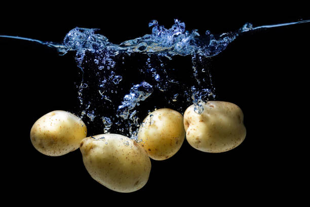 istock Potato dropped in water with splashes on black 1426479125
