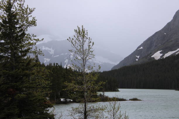 istock Glacier National Park scenic view 1426479582