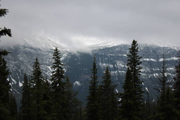 istock Glacier National Park scenic view 1426479601