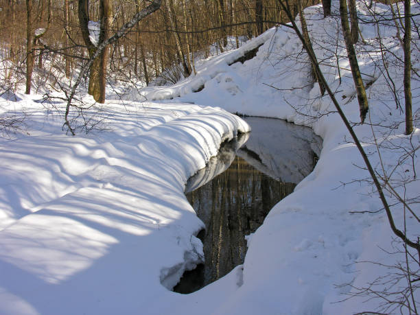istock Non-freezing stream in the winter forest. 1426480205
