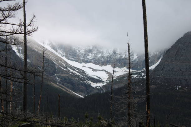 istock Glacier National Park scenic view 1426480240