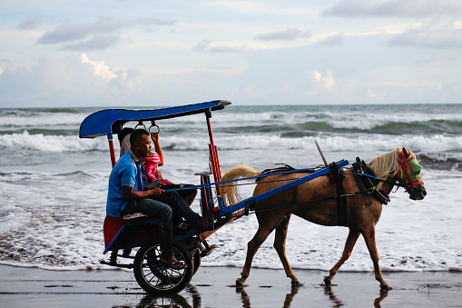 Yogyakarta, Indonesia - February 5, 2020 : Delman or Andong the traditional vehicle or ground transportation equipment in Java, Indonesia. It is used as a transportation by the people in Java