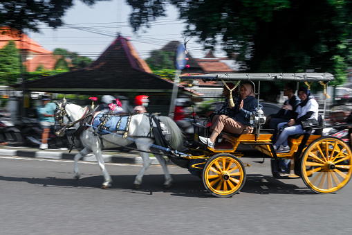 Yogyakarta, Indonesia - February 15, 2020 : Delman or Andong the traditional vehicle or ground transportation equipment in Java, Indonesia. It is used as a transportation by the people in Java