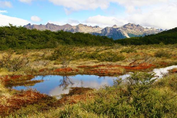 A puddle on the trail to lake Esmeralda A puddle reflecting the sky on the trail leading to lake Esmeralda with Patagonia mountains behind, Argentina ivory coast landscape stock pictures, royalty-free photos & images