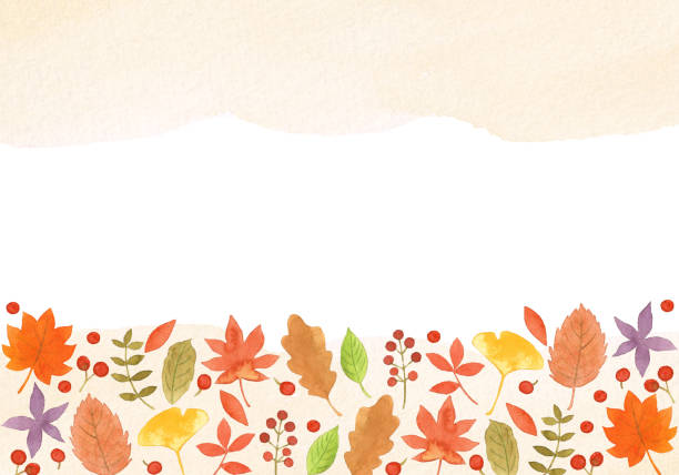 ilustraciones, imágenes clip art, dibujos animados e iconos de stock de marco de hojas de otoño dibujado con acuarelas - japanese maple leaf autumn abstract