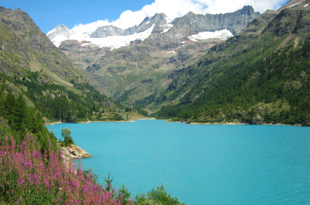 istock Place-Moulin Lake View during Summer. Italian Alps 1426487166