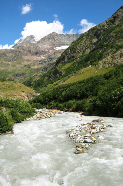 istock Stream in the European Alps during Summer 1426487230
