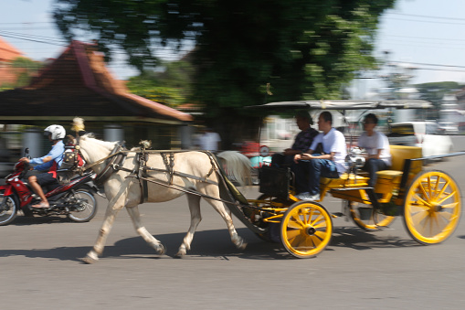 Yogyakarta, Indonesia - February 15, 2020 : Delman or Andong the traditional vehicle or ground transportation equipment in Java, Indonesia. It is used as a transportation by the people in Java