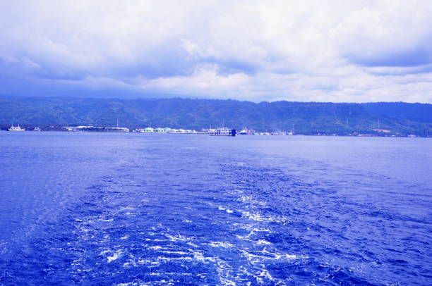 Ketapang Pictures | Download Free Images on Unsplash