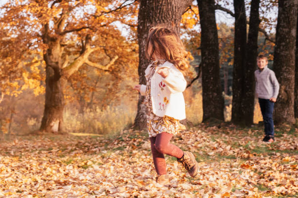 dziewczynka w wieku 3-4 lat biegnie od brata chłopca w wieku 9-10 lat na jesiennych liściach na zewnątrz w pobliżu grubych dębowych pni w parku - child caucasian little girls 3 4 years zdjęcia i obrazy z banku zdjęć