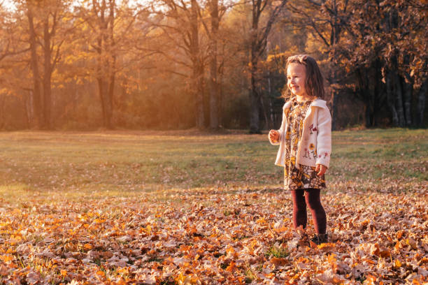 a garotinha sorridente de 3 a 4 anos de idade fica no outono, folhas ao ar livre no parque em raios de sol e olha para o lado. - preschool 2 3 years preschooler little girls - fotografias e filmes do acervo