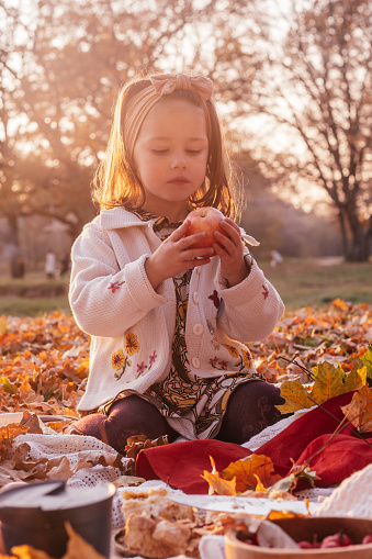 Little girl 3-4 years old sits outdoor in park having picnic in rays of setting sun and holds red apple in her hands. Dark haired child in clothes of beige autumn colors among fallen leaves. Vertical