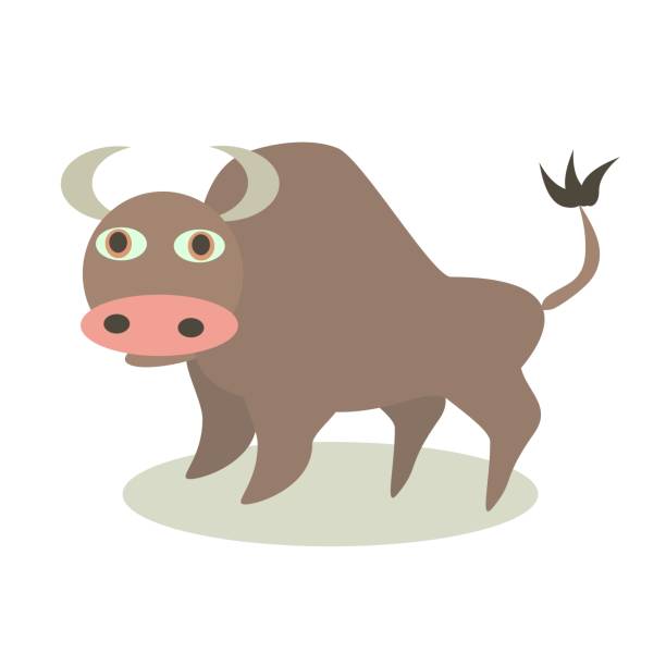 Cute Buffalo Vector Illustration Cute Buffalo Simple Vector Design wild cattle stock illustrations