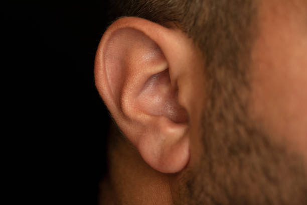 foto de cerca de la oreja de un hombre con piel morena - human ear fotografías e imágenes de stock