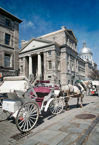 Horse-drawn carriages near Bonsecours market, old Montreal, Quebec,  Canada
