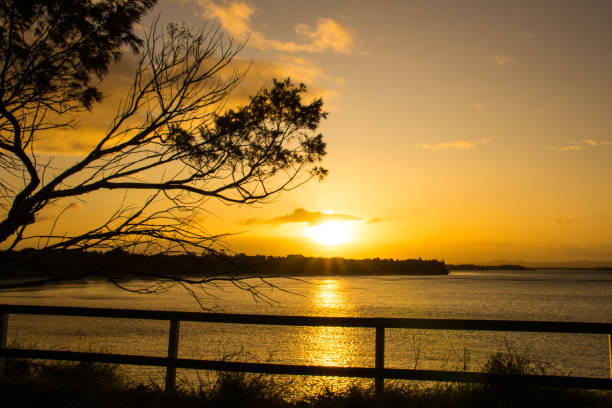 una puesta de sol dorada sobre el agua.  cercas de madera y árbol en primer plano.  reflexiones sobre el agua.  playa whiting. yamba nueva gales del sur australia - yamba fotografías e imágenes de stock