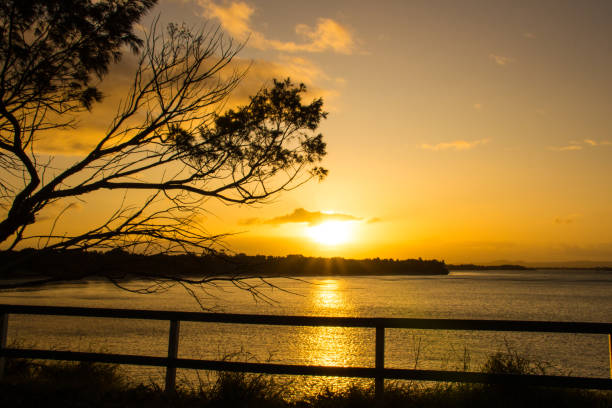 a golden sunset over the water.  timber fencing and tree in the foreground.  reflections on the water.  whiting beach. yamba new south wales australia - yamba imagens e fotografias de stock