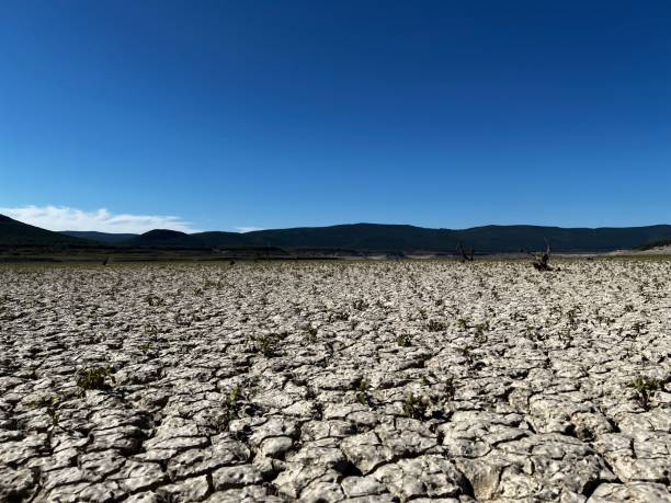 istock dry lake or reservoir 1426542467