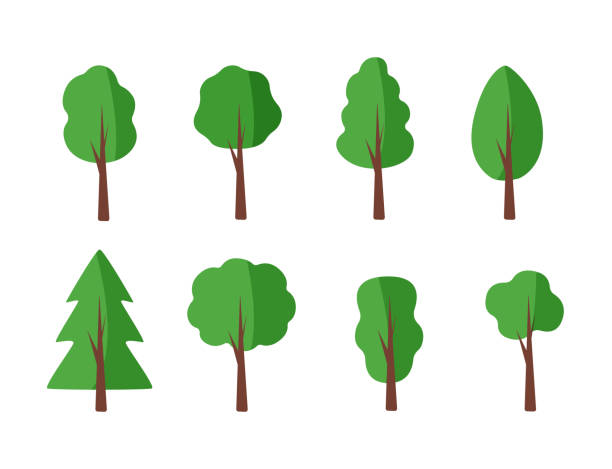 istock Set of trees with a green crown, vector illustration of a tree icon. 1426542703