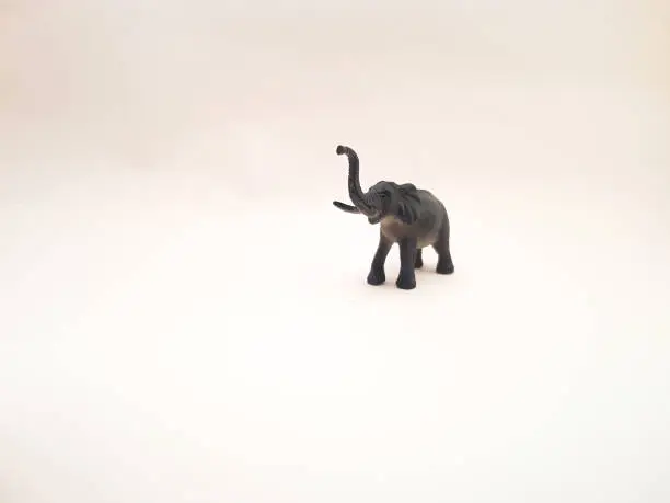 Photo of Children's toys made of solid plastic with the animal character of an elephant lifting its trunk