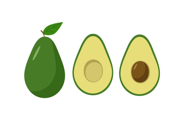 ilustraciones, imágenes clip art, dibujos animados e iconos de stock de juego de aguacate entero y mitades con un hueso. ilustración vectorial de fruta fresca de aguacate. - guacamole avocado cutting white background