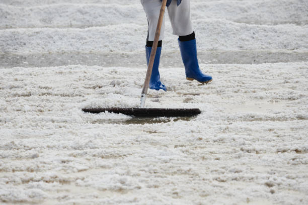 istock Worker using harrow drag for harvesting dried salt at salt pan 1426544392
