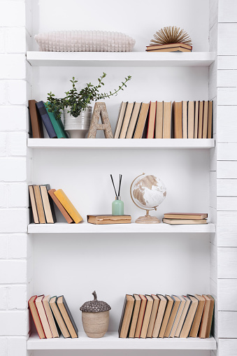 Collection of books and decor elements on shelves indoors