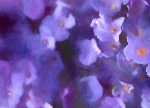 Buddleia flower background, post processed to give a painterly effect.