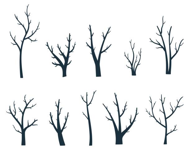 ilustrações, clipart, desenhos animados e ícones de conjunto de silhuetas de árvores nuas desenhadas à mão. ilustração vetorial preto e branco - abstract autumn bare tree empty