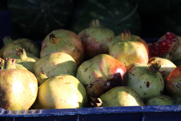 Pomegranate fruit in the market vault horizontal composition