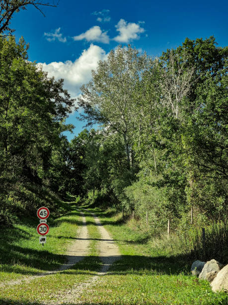 istock Nature, nature conservation, nature reserves 1426550016