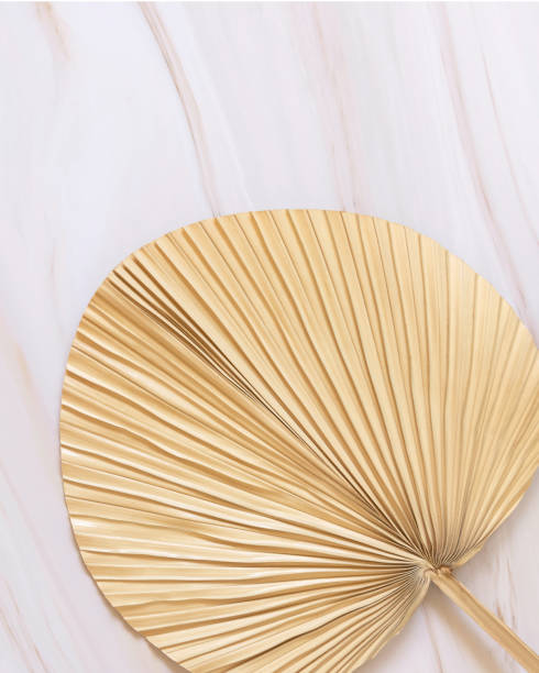 istock Dry beige palm leaf on marble table top view, natural bohemian bakground 1426555017