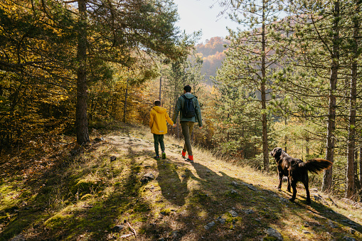 Photo of father and his son enjoying a beautiful day in the forest