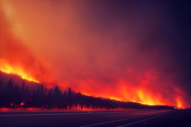 wild fire stock photo