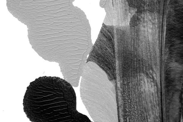 istock black white abstract acrylic painting color texture on white paper background by using rorschach inkblot method 1426564930