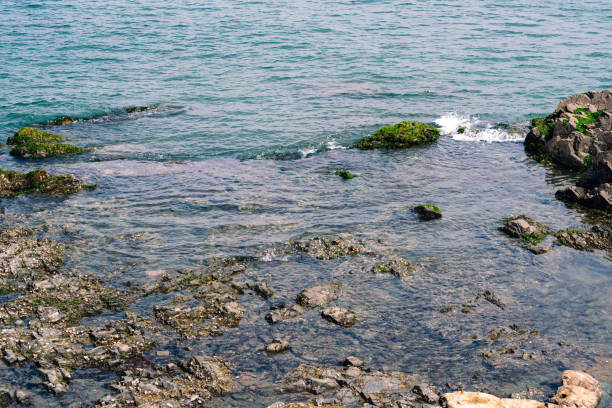 Sea rock on the ocean coast