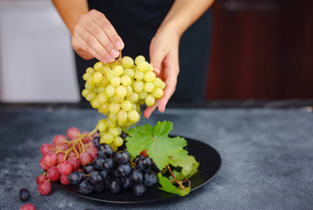 istock Vineyard Harvest in autumn season 1426570920