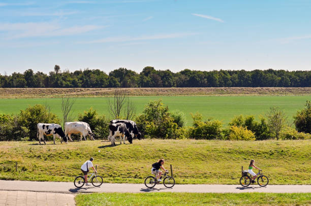 Smiling mature man wearing sportswear on bicycle tour through meadow