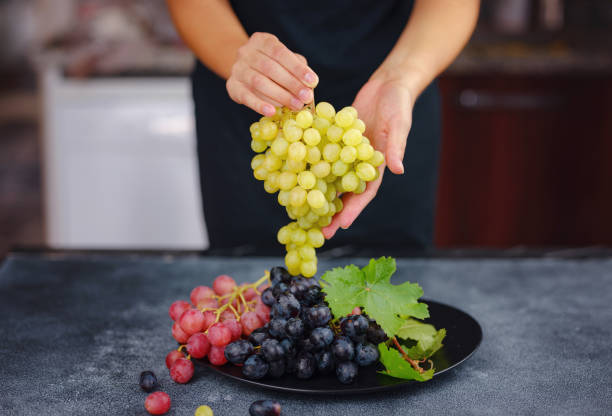 istock Vineyard Harvest in autumn season 1426581779
