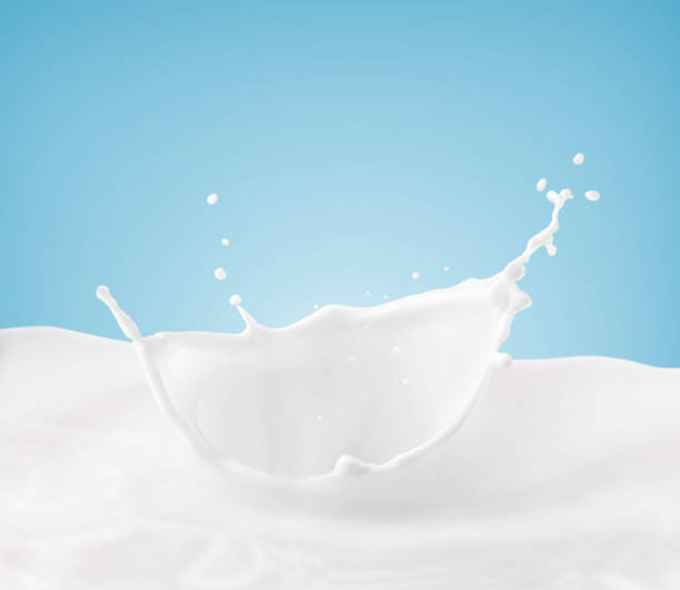 istock Milk crown splash, splashing in milk pool with blue background 1426581885