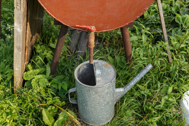 istock Rain barrel and watering can in vegetable garden 1426584927