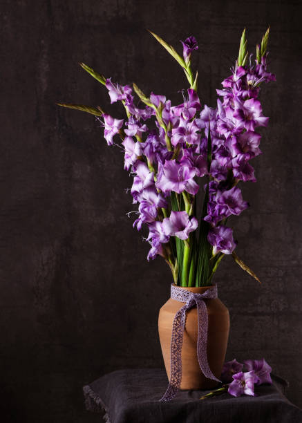 라일라의 아름다운 꽃다발, 세라믹 꽃병에 보라색 글라디올리 꽃과 정물. - gladiolus bouquet vase purple 뉴스 사진 이미지