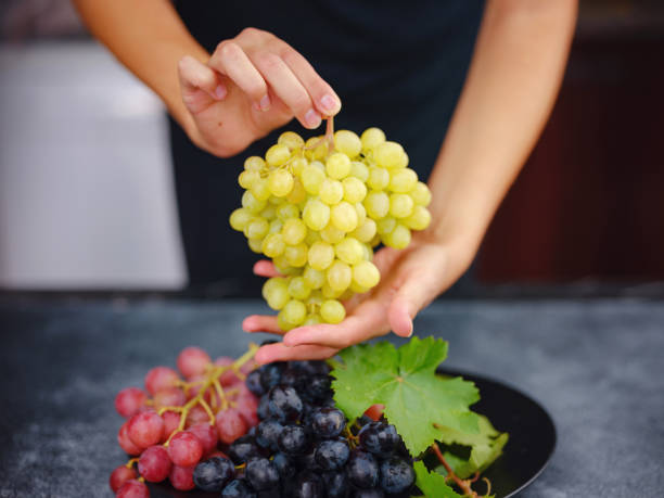 istock Vineyard Harvest in autumn season 1426589189