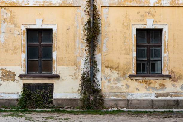 abandoned house with two worn windows and plants - broken window concrete wall imagens e fotografias de stock